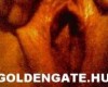 GoldenGate-archív 652. sorozata
