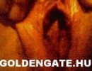 GoldenGate-archív 652. sorozata