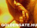 GoldenGate-archív 652. sorozata - 2. kép