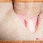 GoldenGate-archív 1202. sorozata - 11. kép