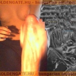 GoldenGate-archív 1212. sorozata - 13. kép