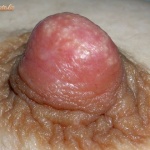 cic 2. sorozata - 5. kép