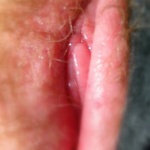 kompak 5. sorozata - 6. kép