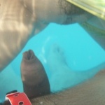 bigtoy 5. sorozata - 9. kép