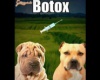 Botox