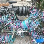 rasta 1. sorozata - 8. kép