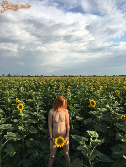 2018 Nyár.... - 27. kép