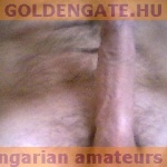 GoldenGate-archív 1335. sorozata - 5. kép