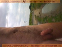GoldenGate-archív 1374. sorozata