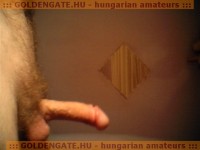 GoldenGate-archív 1401. sorozata