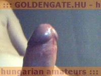 GoldenGate-archív 1420. sorozata