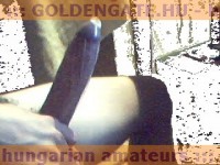 GoldenGate-archív 1420. sorozata