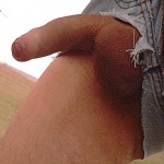 S.S. 1. sorozata - 5. kép