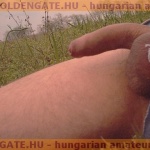 S.S. 1. sorozata - 7. kép