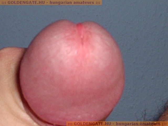 Zaza 1. sorozata - 20. kép