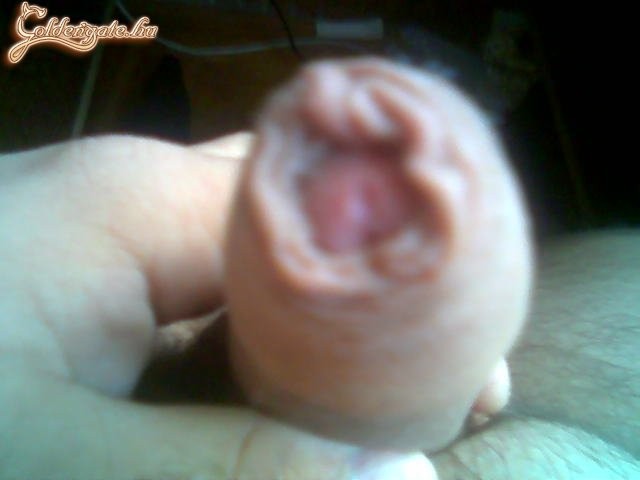 GoldenGate-archív 1530. sorozata - 22. kép