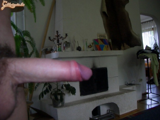 GoldenGate-archív 1538. sorozata - 54. kép