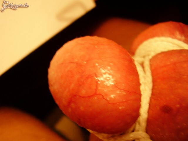 Astrix 8. sorozata - 16. kép