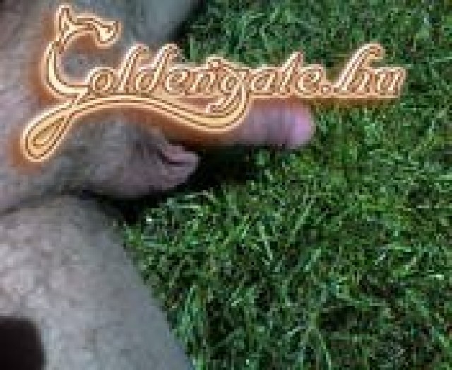 bibboy 2. sorozata - 13. kép