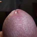 Szasza 4. sorozata - 8. kép