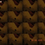 gÁBOR 11. sorozata - 58. kép