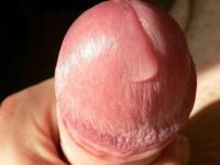 pinalucsok 1. sorozata