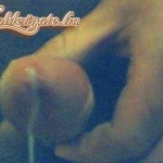 burga 5. sorozata - 5. kép