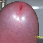 absolute.v 1. sorozata - 5. kép