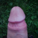 bulielott 2. sorozata - 25. kép