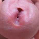 taipanx 1. sorozata - 6. kép