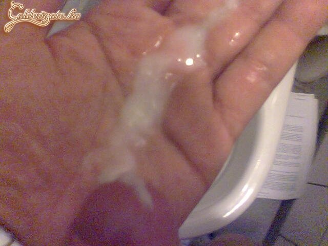 GoldenGate-archív 1804. sorozata - 13. kép