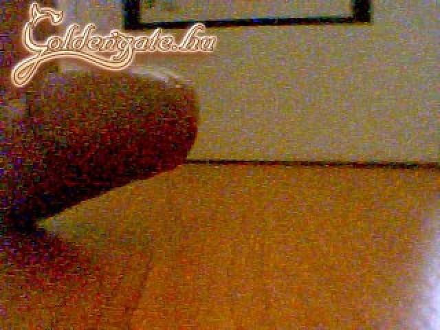 din 3. sorozata - 17. kép