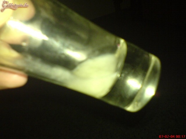 galagonya80 5. sorozata - 19. kép