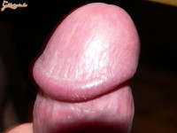 pinalucsok 2. sorozata