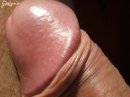 kissocsi 2. sorozata - 5. kép