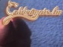 GoldenGate-archív 2133. sorozata - 2. kép