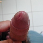 nyulfeka 2. sorozata - 2. kép