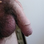 nyulfeka 2. sorozata - 5. kép