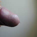 nyulfeka 2. sorozata - 8. kép