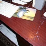 Levente89 3. sorozata - 8. kép