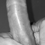 GoldenGate-arch - 8. kép