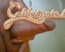 GoldenGate-archív 2217. sorozata - 12. kép