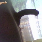 zome 12. sorozata - 3. kép