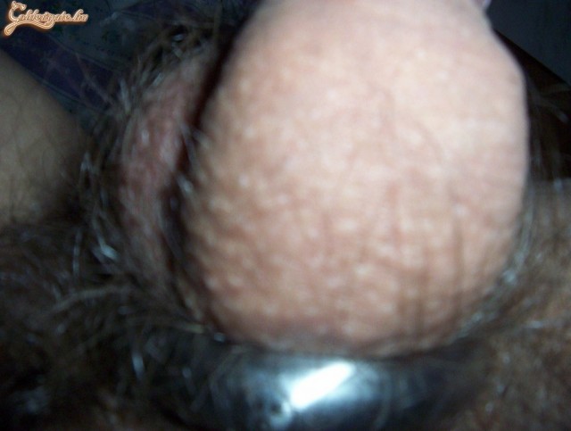 cipoo 1. sorozata - 16. kép