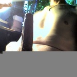 Gnbx 2. sorozata - 1. kép