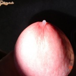 bifiú 1. sorozata - 7. kép