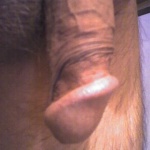 carrot 2. sorozata - 1. kép