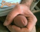carrot 2. sorozata - 4. kép