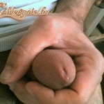 carrot 2. sorozata - 4. kép