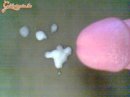 Steevee 8. sorozata - 2. kép